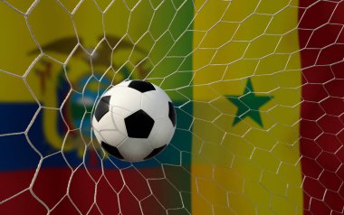 Ulusal Ekvador ile Senegal arasındaki futbol kupası müsabakası.