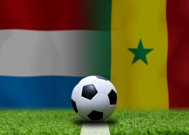 Ulusal Hollanda ile Senegal arasındaki futbol kupası müsabakası.