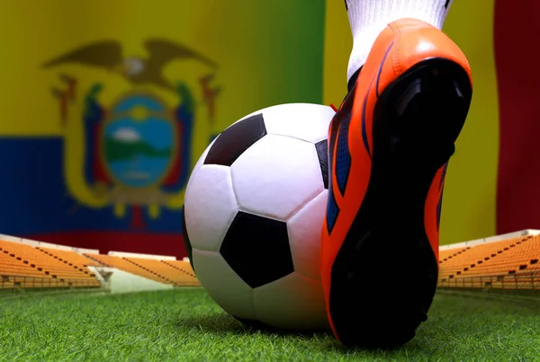 Змагання Футболу Між Національним Еквадором Сенегалом — стокове фото