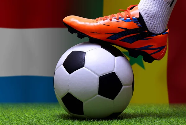Coupe Football Entre Les Pays Bas Sénégal — Photo
