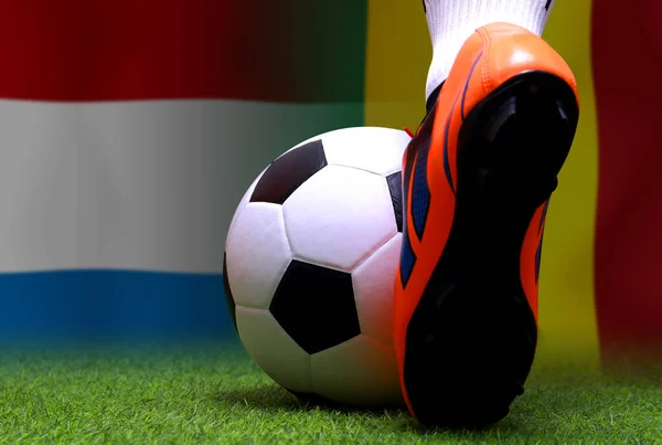 Coupe Football Entre Les Pays Bas Sénégal — Photo