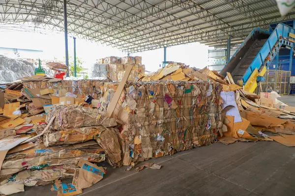 Nakhon Ratchasima Eylül 2023 Karton Kutu Balyaları Geri Dönüşüm Fabrikasında Stok Resim