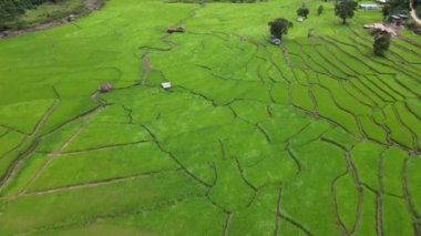 Yeşil Teraslar 'ın havadan görünüşü, Nan Khun Nan Rice Terasları' ndaki dağda çok güzel doğal bir güzellik, Boklua Nan Eyaleti, Tayland