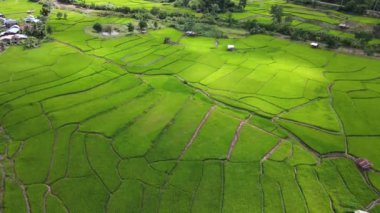 Yeşil Teraslar 'ın havadan görünüşü, Nan Khun Nan Rice Terasları' ndaki dağda çok güzel doğal bir güzellik, Boklua Nan Eyaleti, Tayland