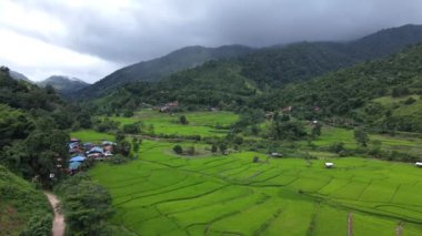Yeşil Teraslar 'ın havadan görünüşü, Nan Khun Nan Rice Terasları' ndaki dağda çok güzel doğal bir güzellik, Boklua Nan Eyaleti, Tayland