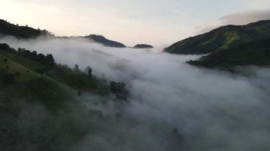 Yağmur mevsiminde Sapan köyü ormanındaki çeltik tarlasının güzel hava manzarası Nan 'ın Tayland eyaleti Nan' da sisli ve el değmemiş nehirlerle kaplıydı..