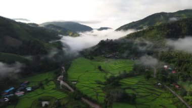 Yağmur mevsiminde Sapan köyü ormanındaki çeltik tarlasının güzel hava manzarası Nan 'ın Tayland eyaleti Nan' da sisli ve el değmemiş nehirlerle kaplıydı..