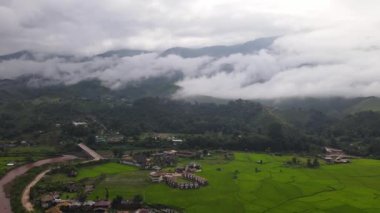 Yağmur mevsiminde Sapan köyü ormanındaki çeltik tarlasının güzel hava manzarası Nan 'ın Tayland eyaleti Nan' da sisli ve el değmemiş nehirlerle kaplıydı..