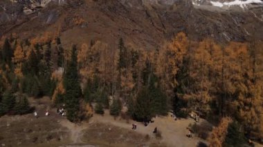 Siguniang Dağı 'nın ya da Çin' in batısındaki Aba Tibet ve Qing Özerk Bölgesi 'nde bulunan dört kız dağının insansız hava fotoğrafçılığı..
