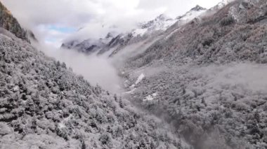 Changping Vadisi, Siguniang Ulusal Parkı 'nın batı Sichuan' da uçan insansız hava fotoğrafçılığı..