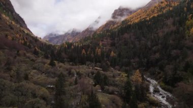 Changping Vadisi, Siguniang Ulusal Parkı 'nın batı Sichuan' da uçan insansız hava fotoğrafçılığı..