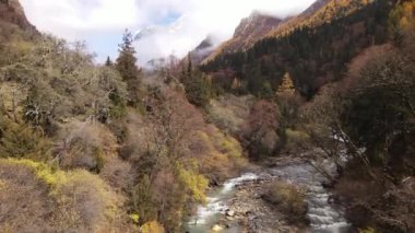 Changping Vadisi, Siguniang Ulusal Parkı 'nın batı Sichuan' da uçan insansız hava fotoğrafçılığı..