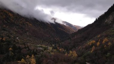 Changping Vadisi, Siguniang Ulusal Parkı 'nın batı Sichuan' da uçan insansız hava fotoğrafçılığı..