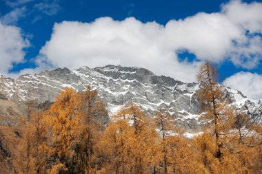 Siguniang Dağı 'nın manzarası ya da Çin' in batı Sichuan bölgesindeki Aba Tibet ve Qing Özerk Bölgesi 'nde bulunan dört kız dağı..