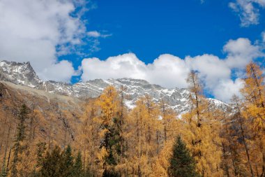 Siguniang Dağı 'nın manzarası ya da Çin' in batı Sichuan bölgesindeki Aba Tibet ve Qing Özerk Bölgesi 'nde bulunan dört kız dağı..