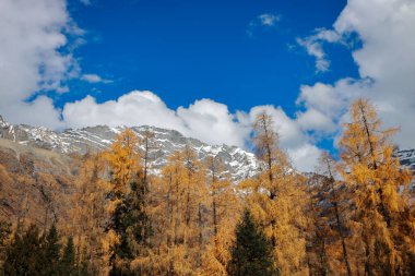 Siguniang Dağı 'nın manzarası ya da Çin' in batı Sichuan bölgesindeki Aba Tibet ve Qing Özerk Bölgesi 'nde bulunan dört kız dağı..