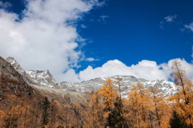 Siguniang Dağı 'nın manzarası ya da Çin' in batı Sichuan bölgesindeki Aba Tibet ve Qing Özerk Bölgesi 'nde bulunan dört kız dağı..