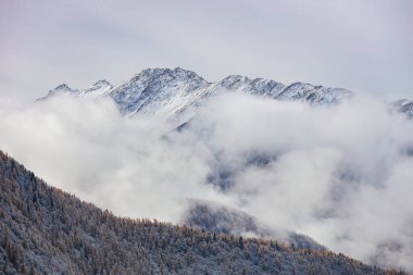 Changping Vadisi, Siguniang Ulusal Parkı 'nın batı Sichuan' da uçan insansız hava fotoğrafçılığı..