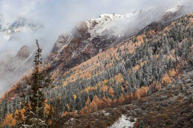 Changping Vadisi, Siguniang Ulusal Parkı 'nın batı Sichuan' da uçan insansız hava fotoğrafçılığı..