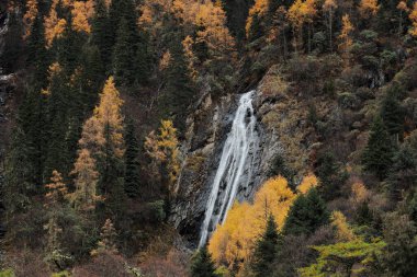 Changping Vadisi, Siguniang Ulusal Parkı 'nın batı Sichuan' da uçan insansız hava fotoğrafçılığı..