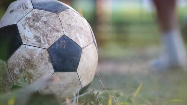 Yeşil Çim Arka Planda Futbol Topu — Stok video