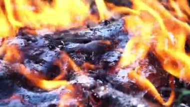 Ormanda büyük şenlik ateşi yanıyor. 