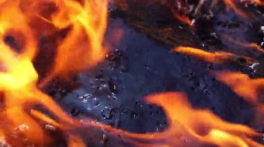 Ormanda büyük şenlik ateşi yanıyor. 