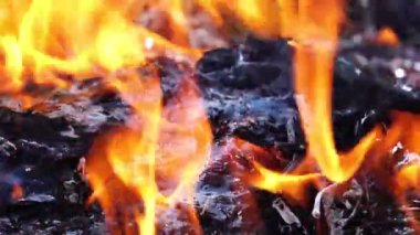 Ormanda büyük şenlik ateşi yanıyor. 