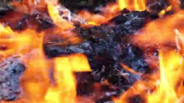 Ormanda büyük şenlik ateşi yanıyor. 