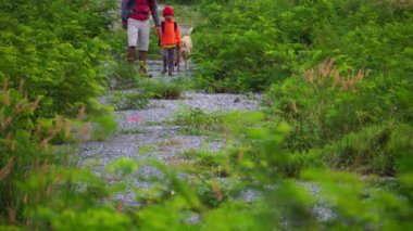 Baba ve oğul tatil aktiviteleri için ormanda yürüyüşe çıktılar.