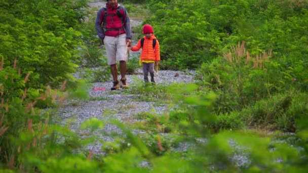 Vater Und Sohn Machen Einen Waldspaziergang Als Urlaubsaktivität — Stockvideo