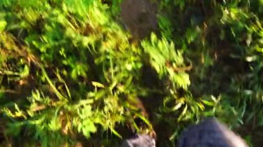 Yürüyüş botlarıyla çimenlerde yürürken yakın plan.