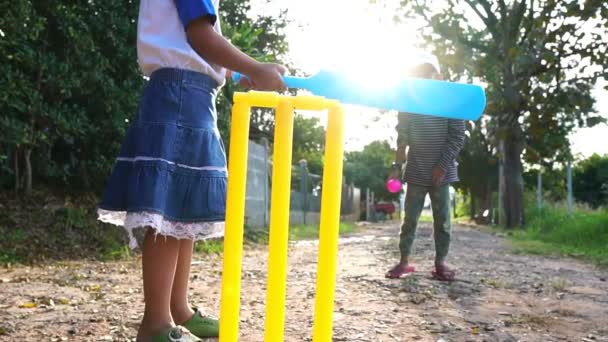 Asian Kids Playing Cricket Outdoor — Vídeo de Stock