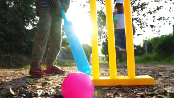 Азійські Діти Грають Крикет Надворі — стокове відео