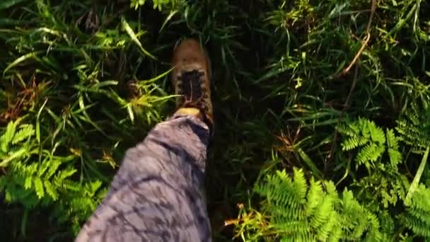 Gros Plan Sur Randonnée Bottes Trekking Marchant Sur Herbe — Video