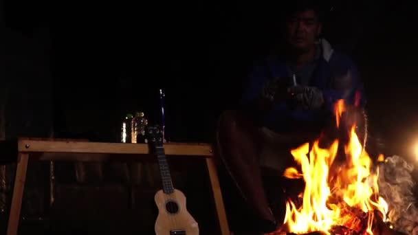 Geceleri Ormanda Kamp Ateşinin Yanında Ukulele Oynayan Bir Adam Seyahat — Stok video