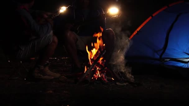Geceleri Ormanda Kamp Ateşinin Yanında Ukulele Oynayan Bir Adam Seyahat — Stok video