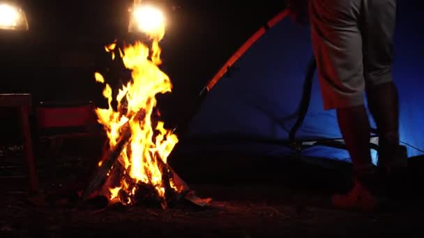 Человек Играет Укулеле Возле Костра Лесу Ночью Путешествия Отдых — стоковое видео