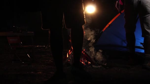 Zwei Männliche Freunde Spielen Nachts Ukulele Lagerfeuer Wald Reisen Und — Stockvideo