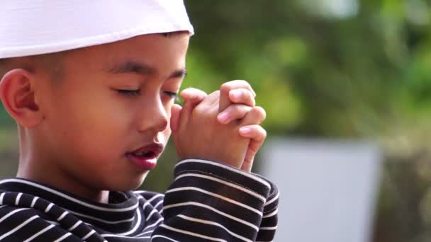 Footage Boy Praying God Hands Together — Wideo stockowe