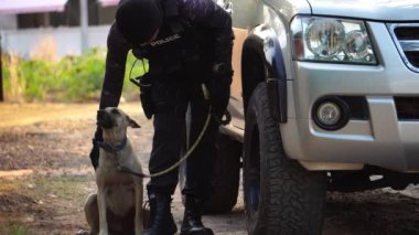 Polis köpekle dolaşırken suç mahallinde aracın görüntüsü.