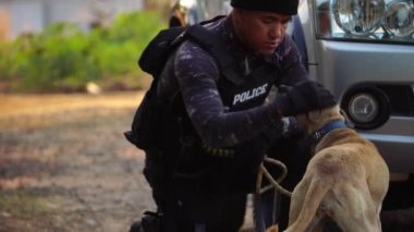 Polis köpeğiyle dolaşırken olay yerindeki aracın yakın çekim görüntüleri.