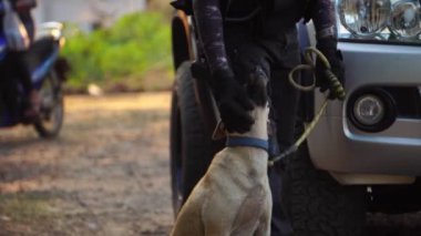 Polis köpeğiyle dolaşırken olay yerindeki aracın yakın çekim görüntüleri.
