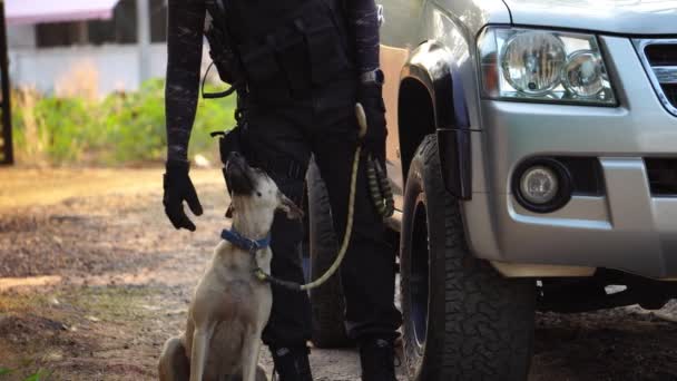 Polis Köpeğiyle Dolaşırken Olay Yerindeki Aracın Yakın Çekim Görüntüleri — Stok video