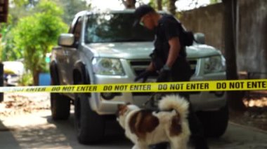 close-up footage of do not enter ribbon in front of vehicle at place of crime while policeman walking around with dog