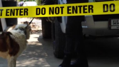 close-up footage of do not enter ribbon in front of vehicle at place of crime while policeman walking around with dog