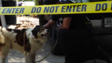 close-up footage of do not enter ribbon in front of vehicle at place of crime while policeman walking around with dog