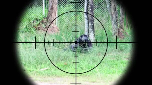 Специальная Полиция Убита Застрелена Через Объектив Вражеского Снайпера — стоковое видео