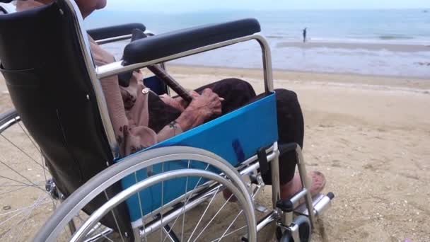 Old Mother Sitting Wheelchair Looks Happily Her Children Sandy Beach — Stock Video