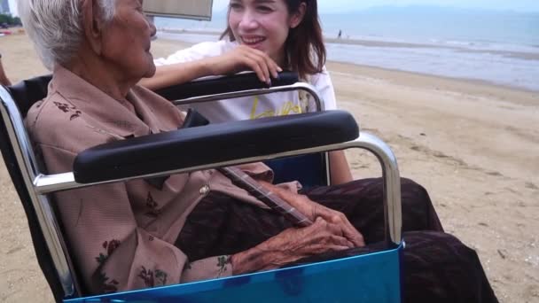 Footage Slow Motion Senior Woman Sitting Wheelchair Beach Talking Her — Stock Video